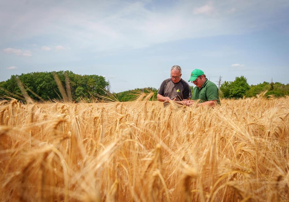 La culture de céréales - Produits