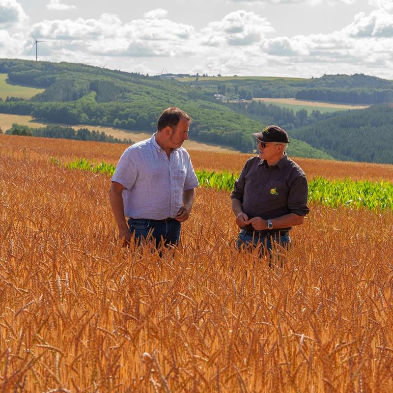 La culture de céréales - Produits