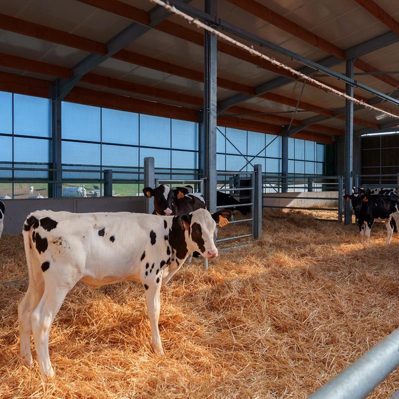 Santé animale - Produits